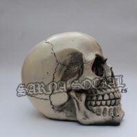 Calavera