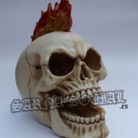 Calavera punk