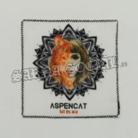 6_aspencat_S